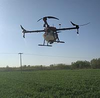 农用成人午夜网站